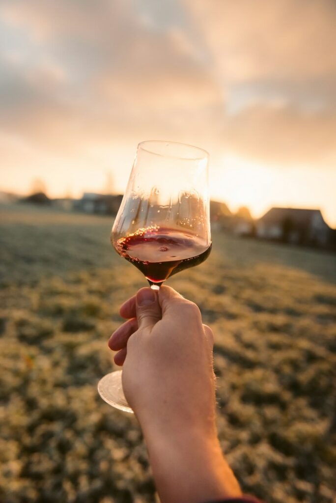 Oak: The King of Wine Barrels